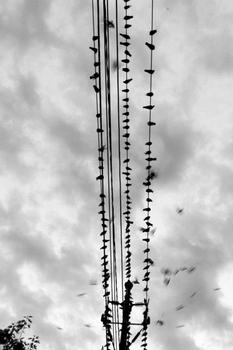 �������������ƾ���Ƶ������8Ѯ��̫�߲������������������ѻ� ȴȥ֧�ֳ���...