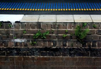 �齫ǧ���ַ���Ƶ��Ƶ��������������������ǰ�ų��� ����ѡ�ּ���͵�С��...